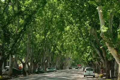 Colonia Caroya. CÃ³rdoba. Argentina
