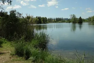 Bettenauer Weiher SG