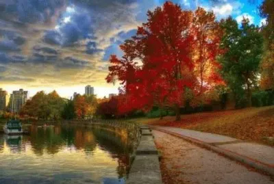 NATUREZA