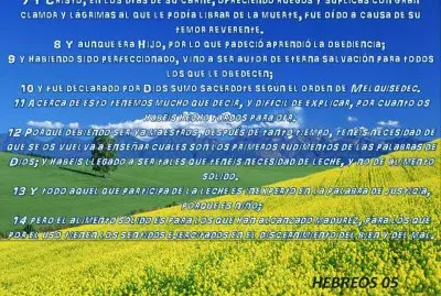 Madures en el Espiritu