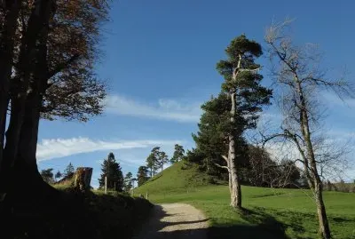 פאזל של Hulftegg SG