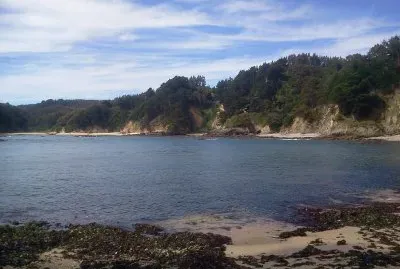 Paisaje jigsaw puzzle