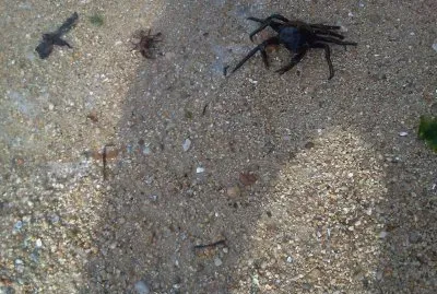 Paisaje jigsaw puzzle