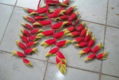 flor9