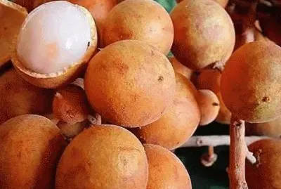 פאזל של Pitomba