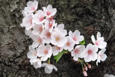 6r 76r e44e 6u8 6u5 i r75