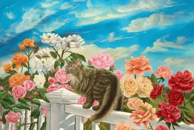 gato