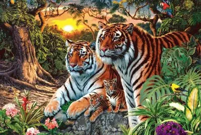 3 56 f5 56r r56r 45 56r jigsaw puzzle