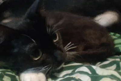 seÃ±ora jigsaw puzzle