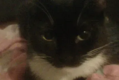 seÃ±ora normal jigsaw puzzle