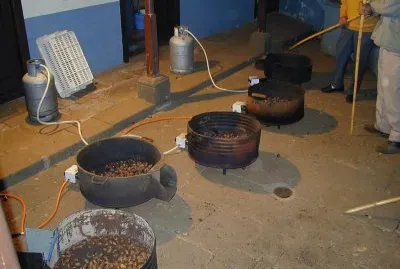 Asando CastaÃ±as. Finaos 2004. Osorio. Teror