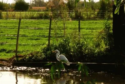 En San Javier. CÃ³rdoba. Argentina