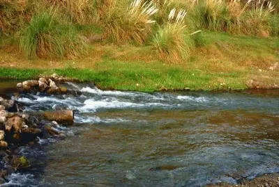En Gral. Pedernera. San Luis. Argentina