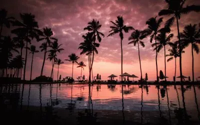 ooo ooo oooo oo  ooooo