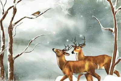 Amigos !!!!!!!! jigsaw puzzle