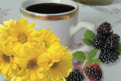 פאזל של imagens