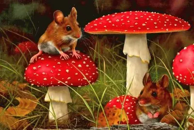 lkkkllkllklkkkklllkklllkk jigsaw puzzle