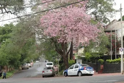 En Posadas. Misiones. Argentina jigsaw puzzle