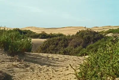 dunas maspalomas
