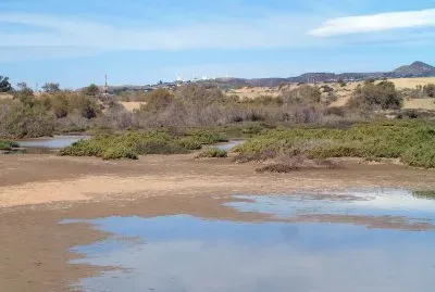 dunas maspalomas