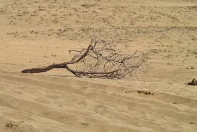 dunas maspalomas jigsaw puzzle