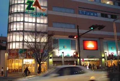 Hamamatsu jigsaw puzzle