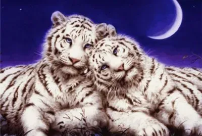 lkklllkhjkjkjjkllklkj jigsaw puzzle