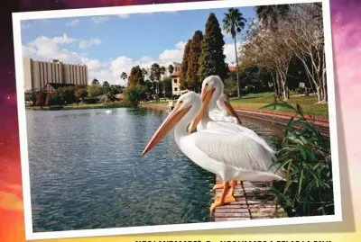 NOS LANZAMOS?, O... NOS VAMOS A PELAR LA PAVA