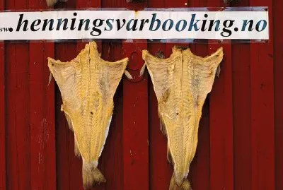 פאזל של lofoten