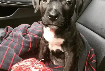 â™¥â™¥â™¥