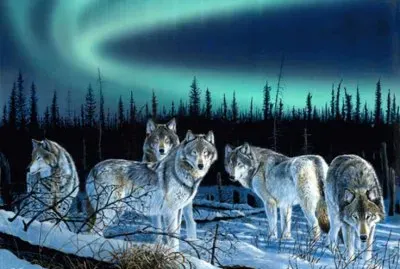 LOBOS