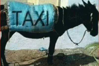 BURROTAXI jigsaw puzzle