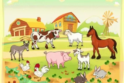 animaux