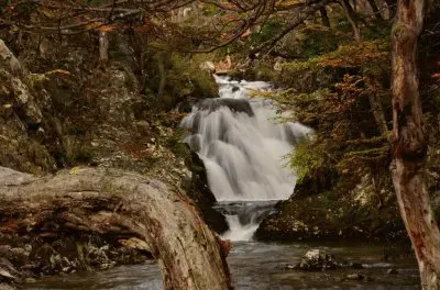 En Tierra del Fuego. Argentina