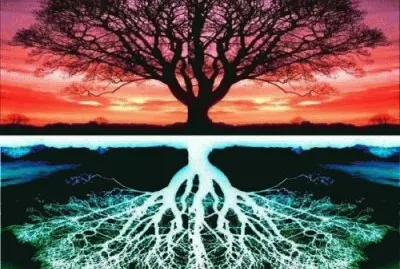 Tree of life