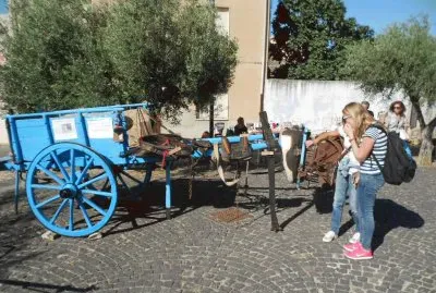 sanluri2