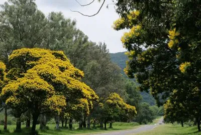 En la R338. TucumÃ¡n. Argentina