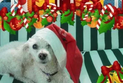 NAVIDAD