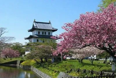 (161) Paisagem jigsaw puzzle