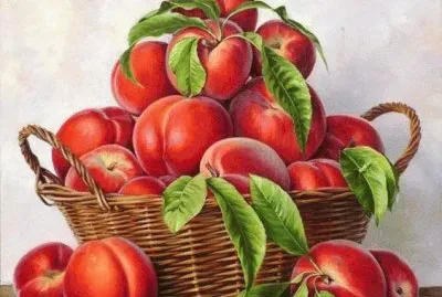 פאזל של imagens