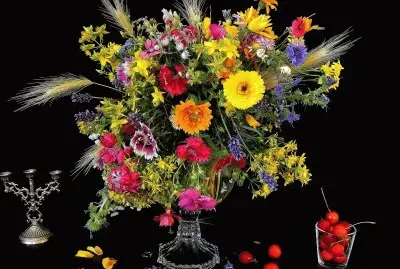 oÃ¤oooÃ¤ooooÃ¤ooo