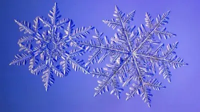 !!!!!! Copos de nieve !!!!!!! jigsaw puzzle