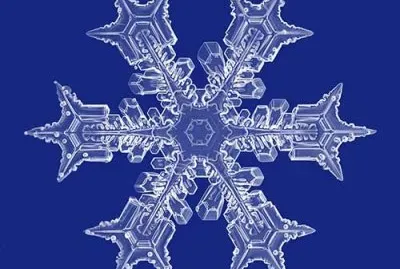 copos de nieve jigsaw puzzle