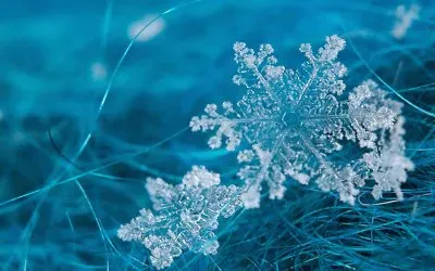 copos de nieve jigsaw puzzle