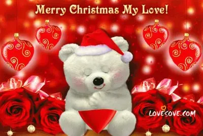 Merry Christmas My Love!