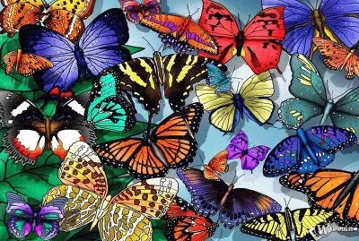 mariposas