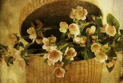 imagens jigsaw puzzle