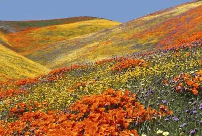 imagens jigsaw puzzle