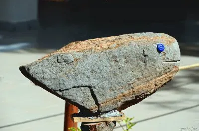 Vogelfisch jigsaw puzzle