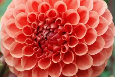 hermosa jigsaw puzzle